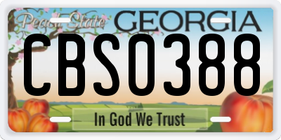 GA license plate CBS0388