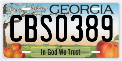 GA license plate CBS0389