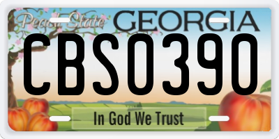 GA license plate CBS0390