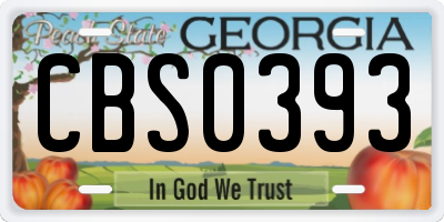GA license plate CBS0393
