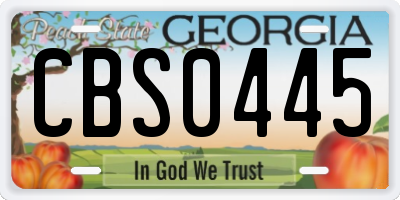 GA license plate CBS0445