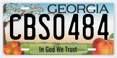 GA license plate CBS0484