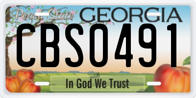 GA license plate CBS0491