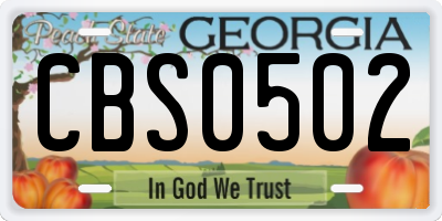 GA license plate CBS0502