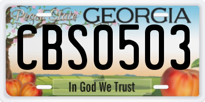 GA license plate CBS0503