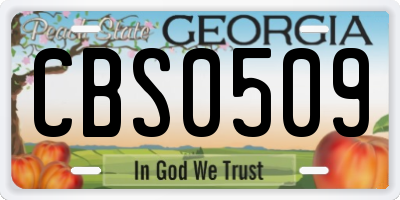 GA license plate CBS0509