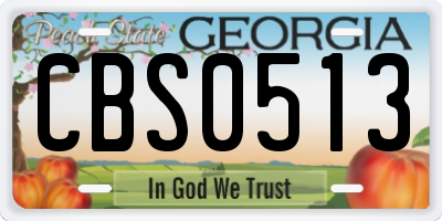 GA license plate CBS0513