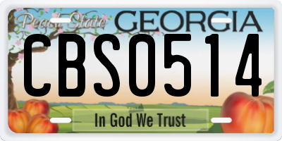 GA license plate CBS0514