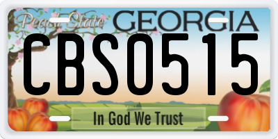 GA license plate CBS0515