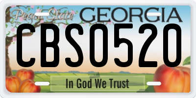 GA license plate CBS0520