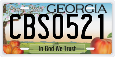 GA license plate CBS0521