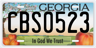 GA license plate CBS0523