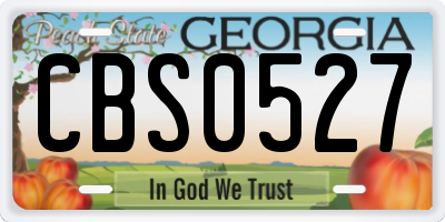 GA license plate CBS0527