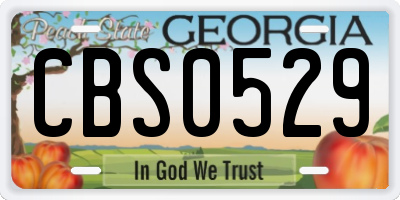 GA license plate CBS0529