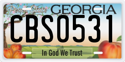 GA license plate CBS0531