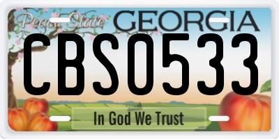 GA license plate CBS0533