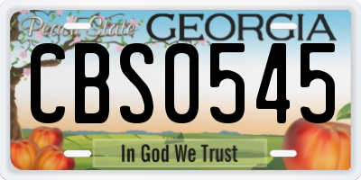 GA license plate CBS0545
