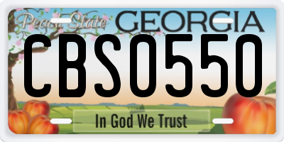 GA license plate CBS0550