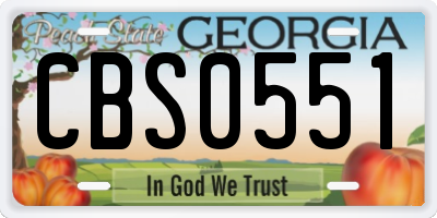 GA license plate CBS0551