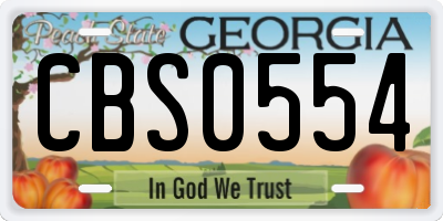 GA license plate CBS0554