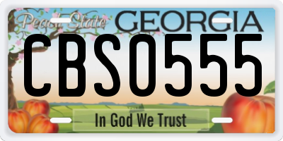 GA license plate CBS0555
