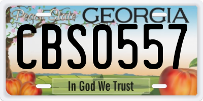 GA license plate CBS0557