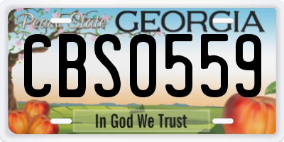GA license plate CBS0559