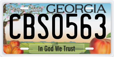 GA license plate CBS0563