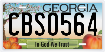 GA license plate CBS0564