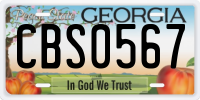GA license plate CBS0567