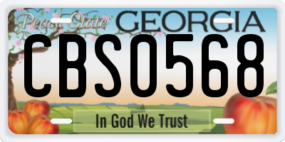 GA license plate CBS0568