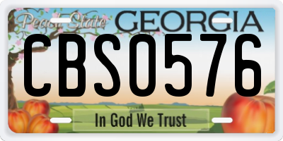 GA license plate CBS0576