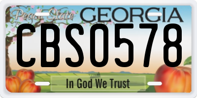 GA license plate CBS0578