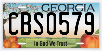 GA license plate CBS0579