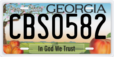GA license plate CBS0582