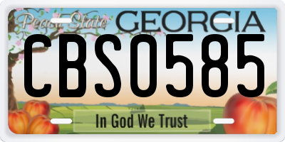 GA license plate CBS0585