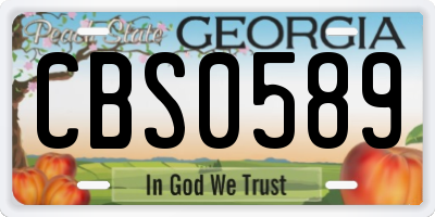 GA license plate CBS0589