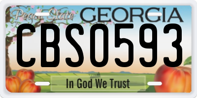 GA license plate CBS0593