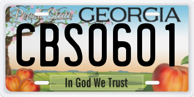 GA license plate CBS0601