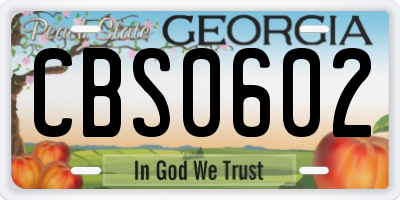 GA license plate CBS0602