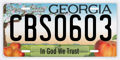 GA license plate CBS0603