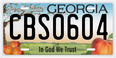 GA license plate CBS0604