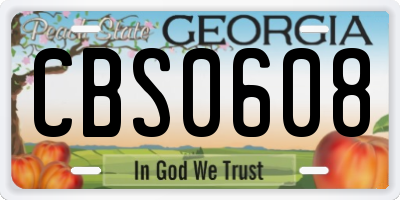 GA license plate CBS0608