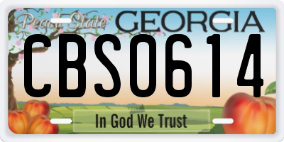 GA license plate CBS0614