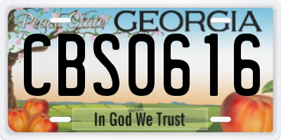 GA license plate CBS0616