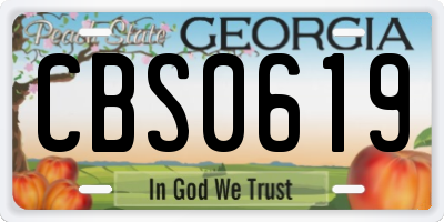 GA license plate CBS0619