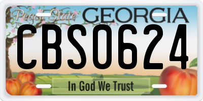 GA license plate CBS0624