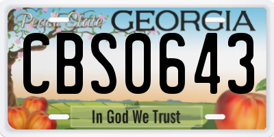 GA license plate CBS0643