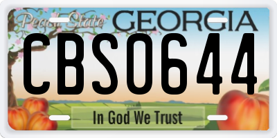 GA license plate CBS0644