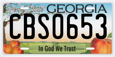GA license plate CBS0653
